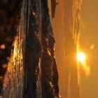 3к. квартира в Щелкино