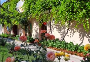 жемчужина моря