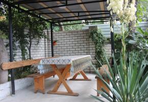 Дом в Новом Свете