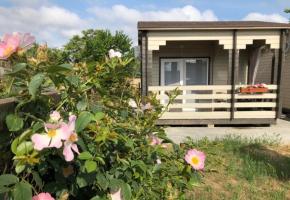 Гостевые домики Южная