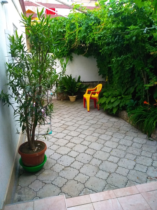 Фото 4-9533989