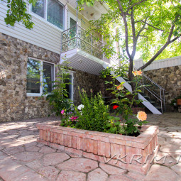 Фото 1-9558528